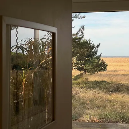 Sea View Over Heather And Reeds Near Sejero Bay * Vig